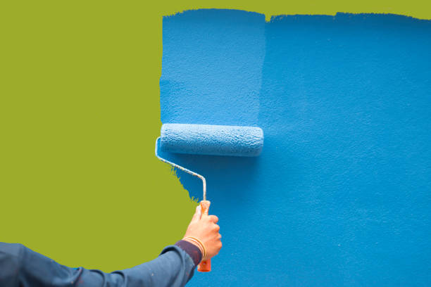 Professional Mold Removal in Hurlock, MD